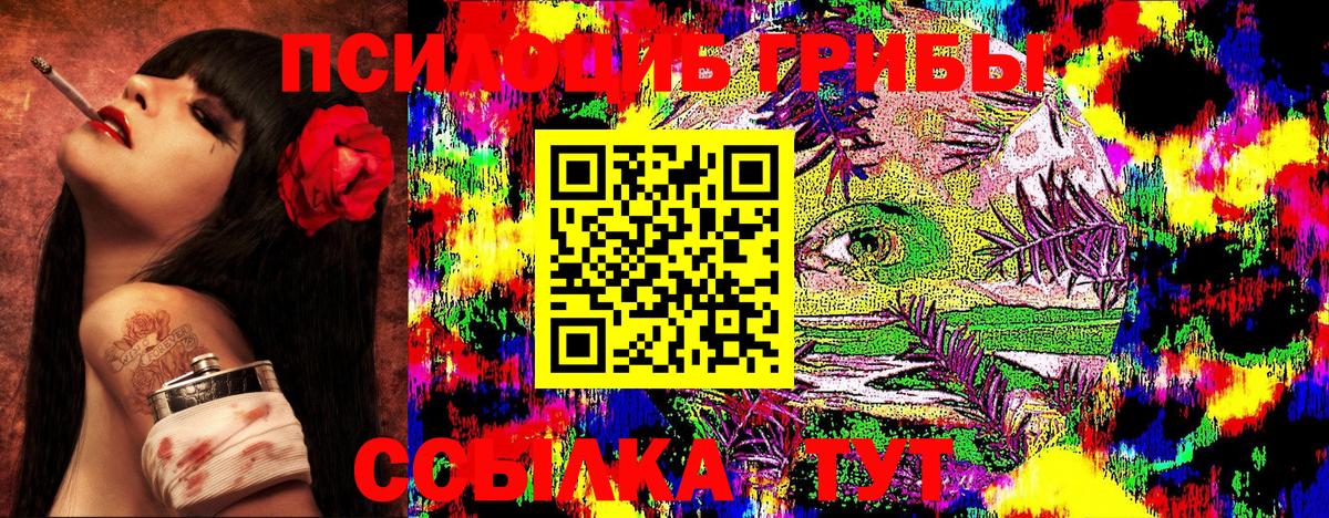 Псилоцибиновые грибы GOLDEN TEACHER  Вход с VPN  Клинцы  Галлюциногенные грибы MAGIC MUSHROOMS 